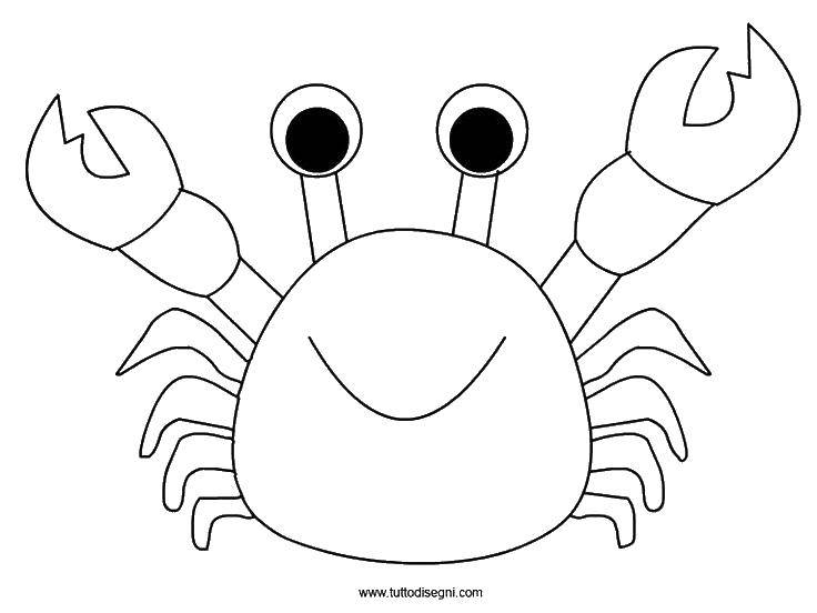 Coloring Cute crab. Category Crab. Tags:  crabs, sea animals.