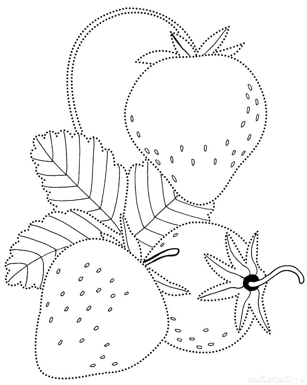 Coloring Trace the contour and color of strawberries. Category fix on the model. Tags:  Pattern , stroke path.