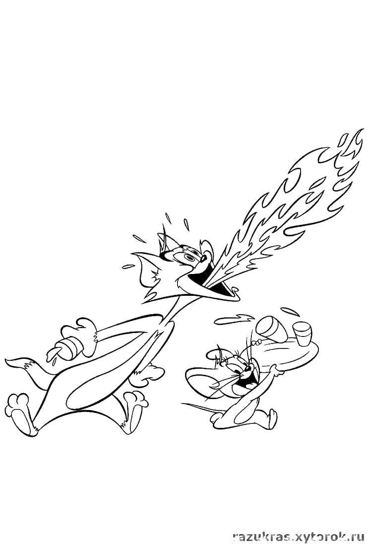 Coloring Fire-breathing Tom. Category cartoons. Tags:  cartoons, Tom, Jerry.