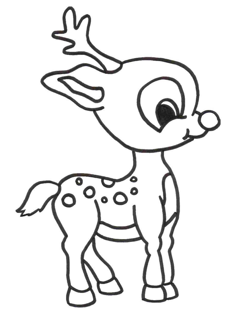 Coloring Fawn. Category Animals. Tags:  little animals, animals, deer.