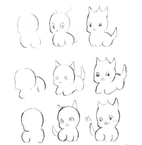 Coloring The steps to draw a kitten. Category coloring. Tags:  Animals, kitten.