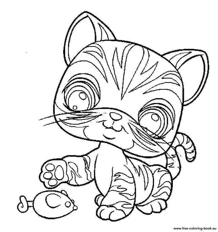 Название: Раскраска Полосатик играет с мышкой. Категория: Животные. Теги: Животные, котёнок.