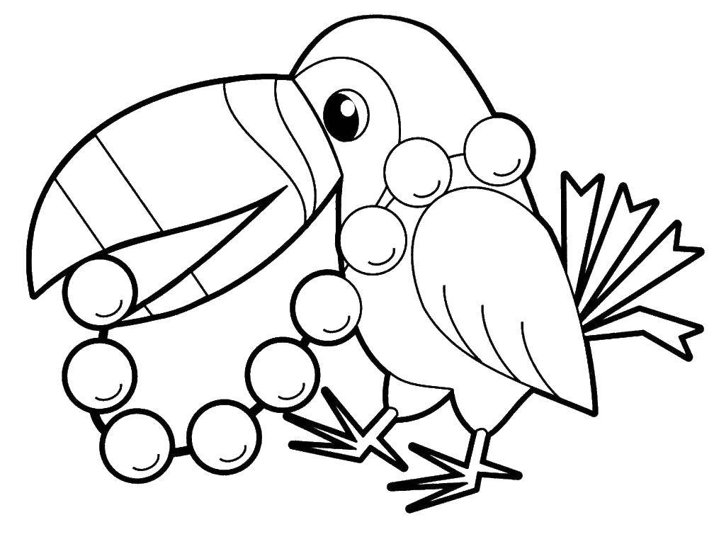 Coloring Parrot with berries. Category coloring. Tags:  Africa, parrot, berries.