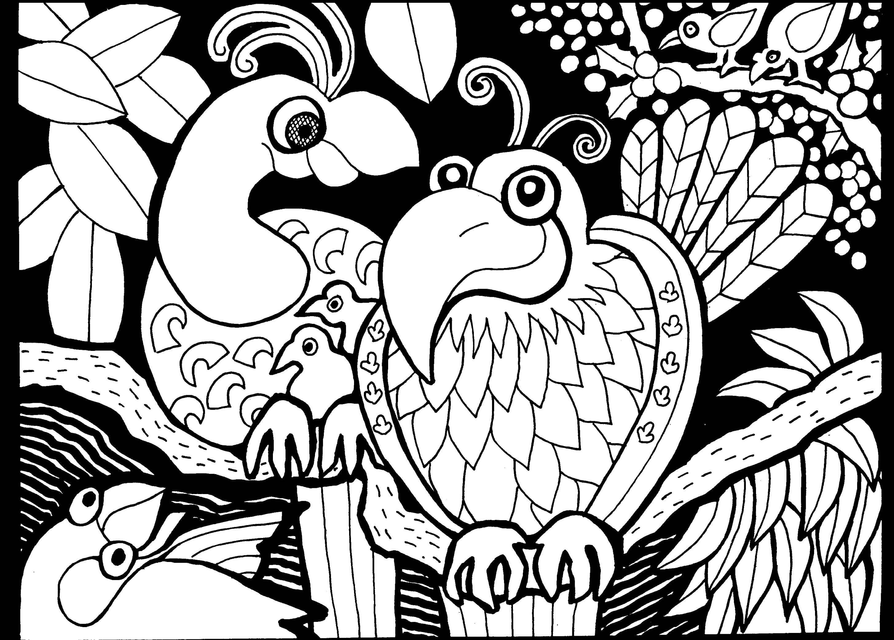 Coloring Birds and patterns. Category patterns. Tags:  patterns, birds, parrots.