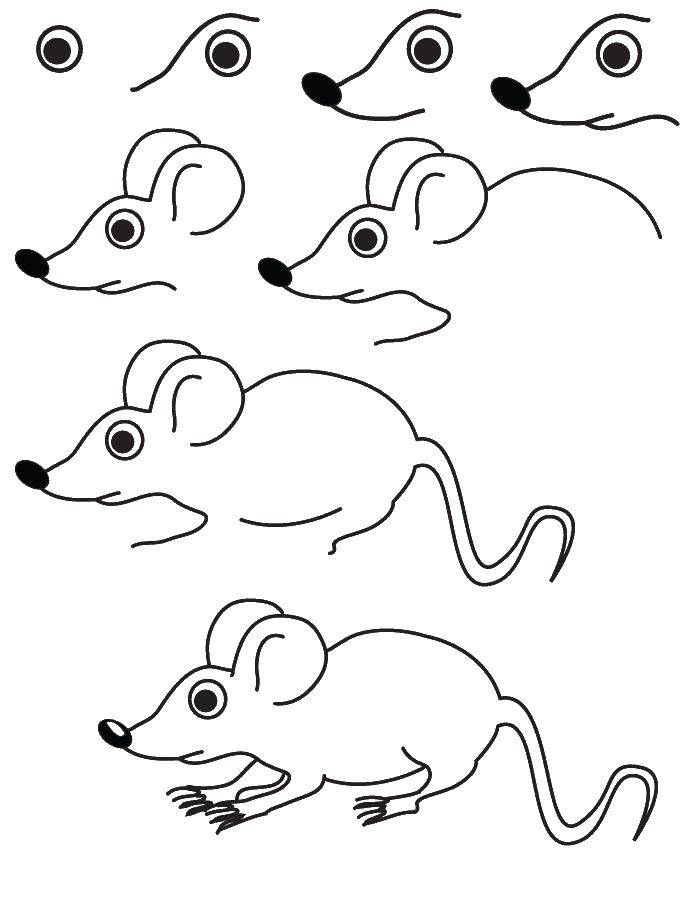 Название: Раскраска Рисуем мышку. Категория: раскраски. Теги: мышка, как нарисовать, животные.