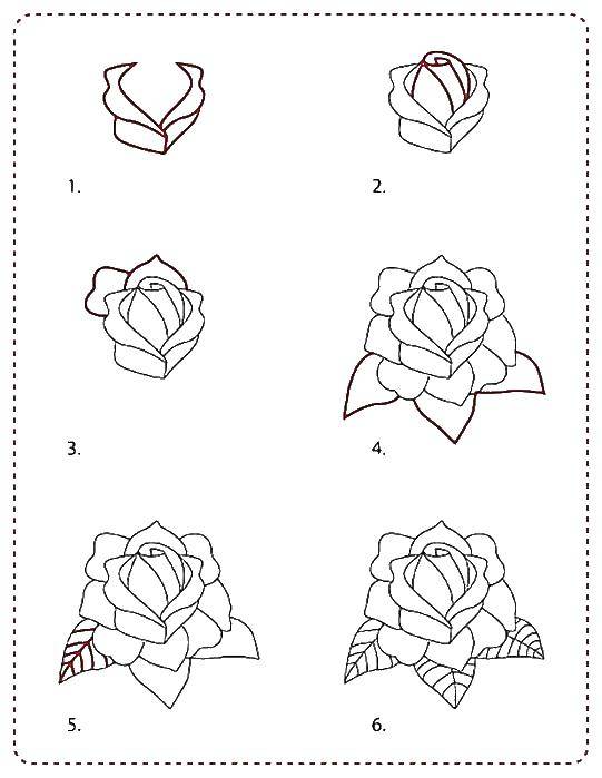 Coloring Draw a rose on the steps. Category coloring. Tags:  Flowers, roses.