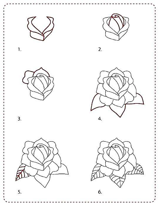 Название: Раскраска Рисуем розочку по шагам. Категория: раскраски. Теги: Цветы, розы.
