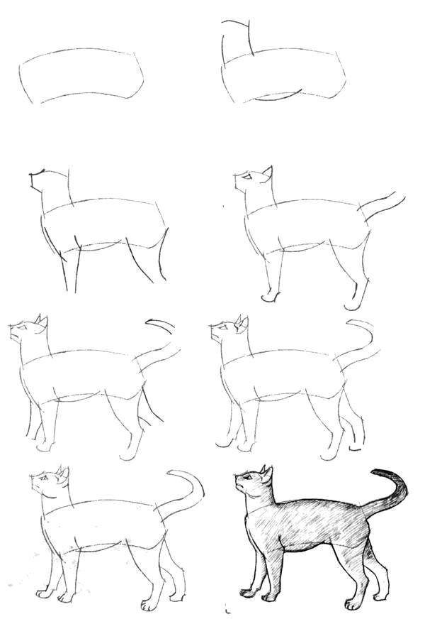 Название: Раскраска Рисунок кошки. Категория: раскраски. Теги: Животные, котёнок.