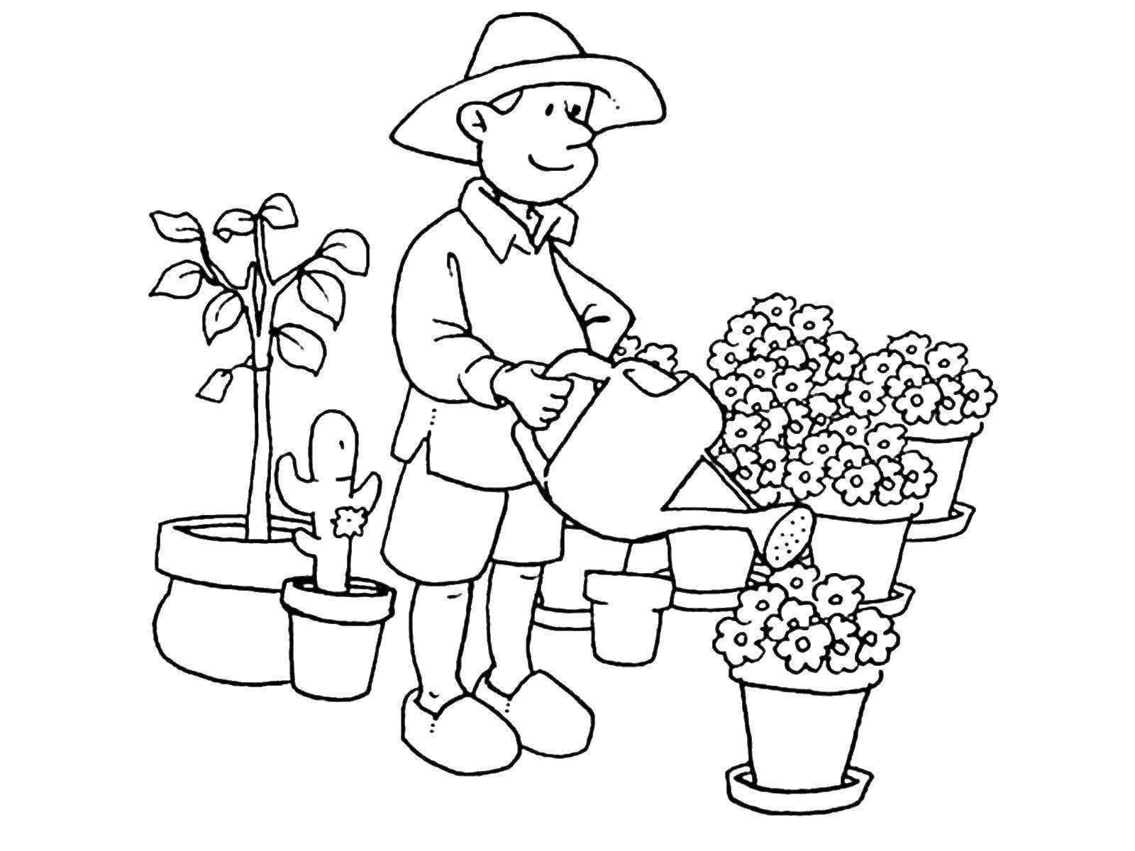 Coloring The gardener is watering the flowers. Category a profession. Tags:  profession, gardener, flowers.