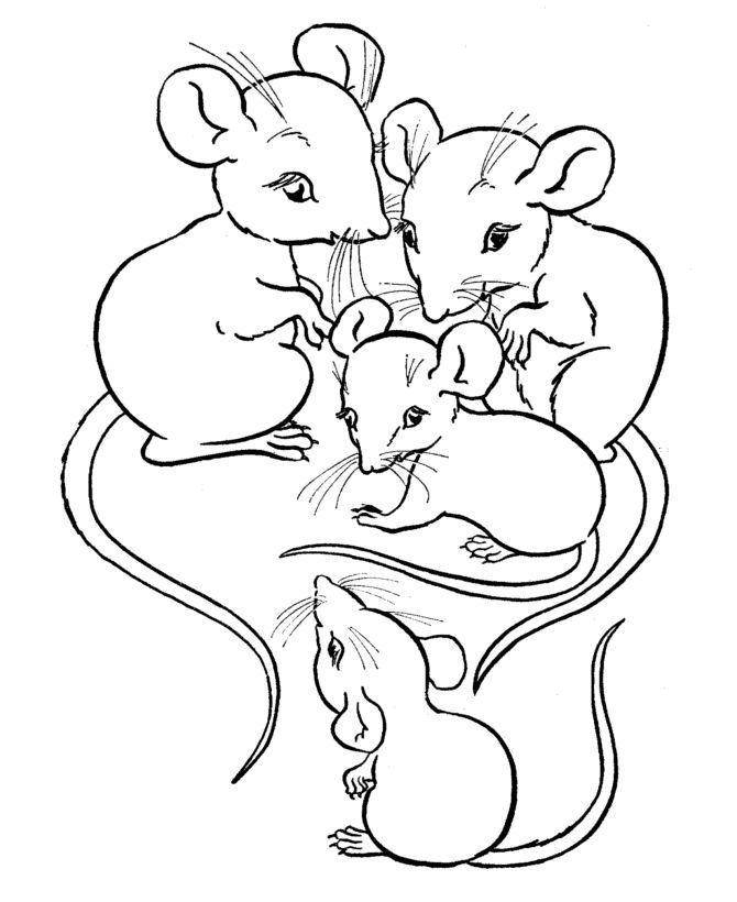 Название: Раскраска Семейство мышат. Категория: Животные. Теги: Животные, мышка.