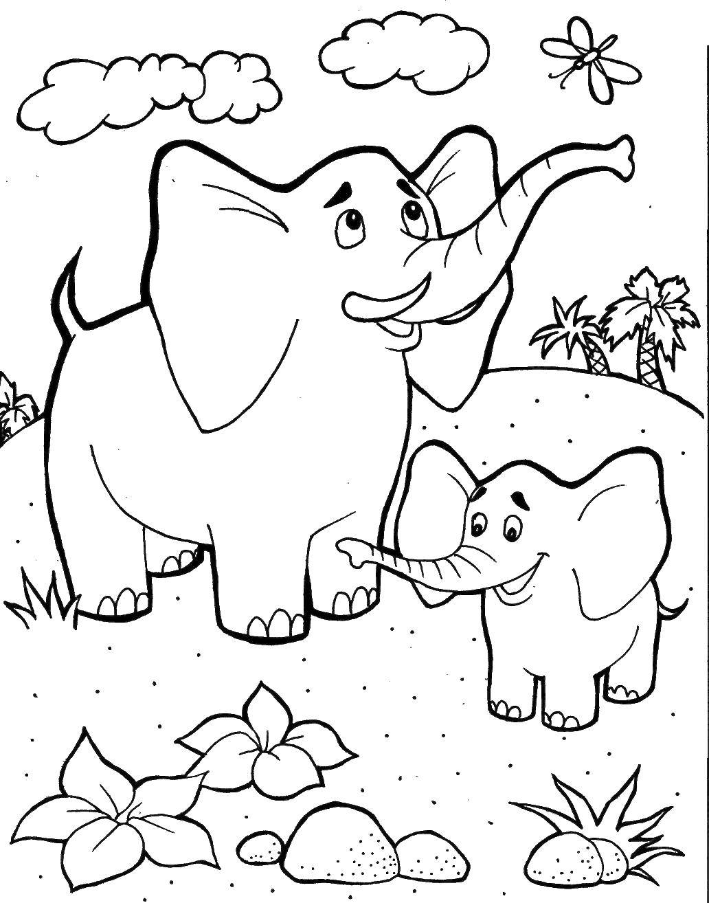 Название: Раскраска Слониха и слон. Категория: Животные. Теги: слон, слоненок.