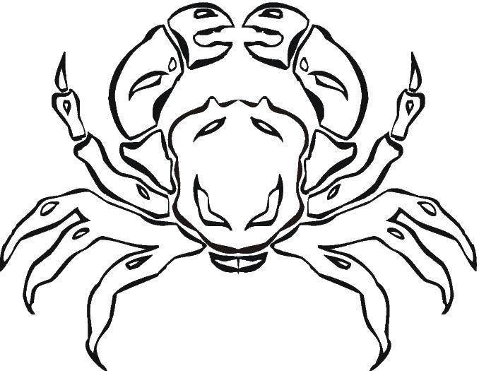 Coloring Terrible crab. Category Crab. Tags:  marine animals, crabs.