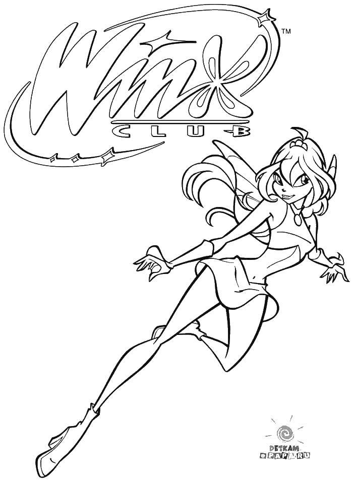 Coloring Winx club. Category Winx. Tags:  Character cartoon, Winx.