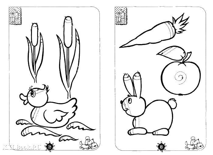 Coloring Animals. Category Crosshatch for preschoolers. Tags:  the dashes, stroke.