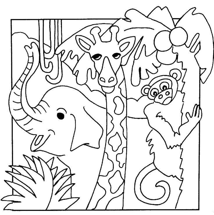 africa coloring pages