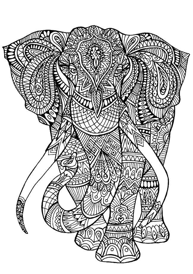 Розмальовки  Слон і його величезні бивні. Завантажити розмальовку Візерунки, тварини.  Роздрукувати ,візерунки,