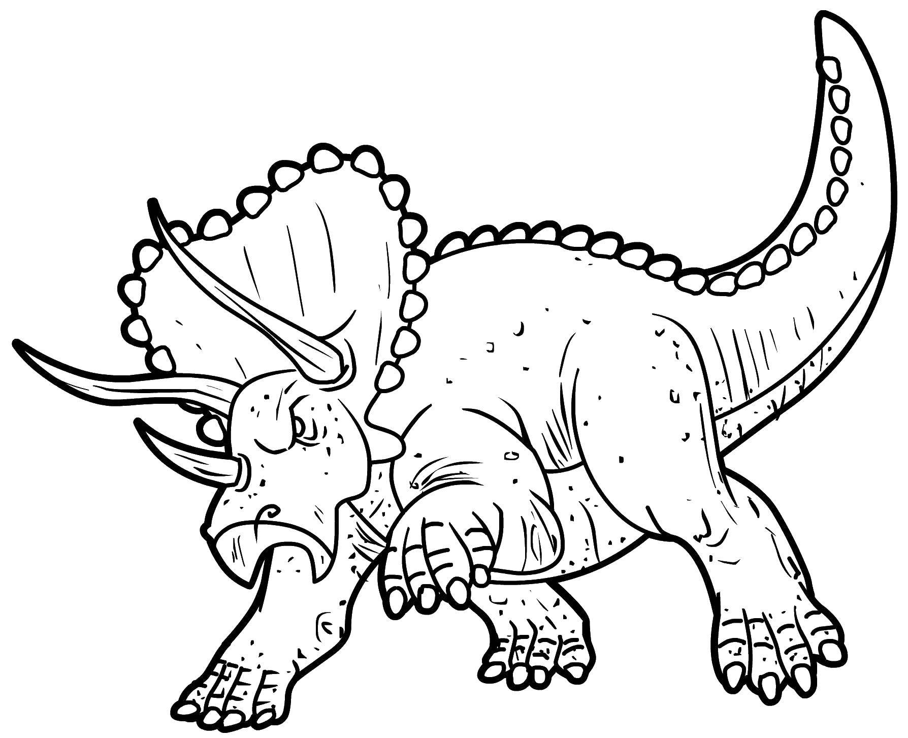 Розмальовки  Трицератопс в агресії. Завантажити розмальовку Динозаври.  Роздрукувати ,динозавр,