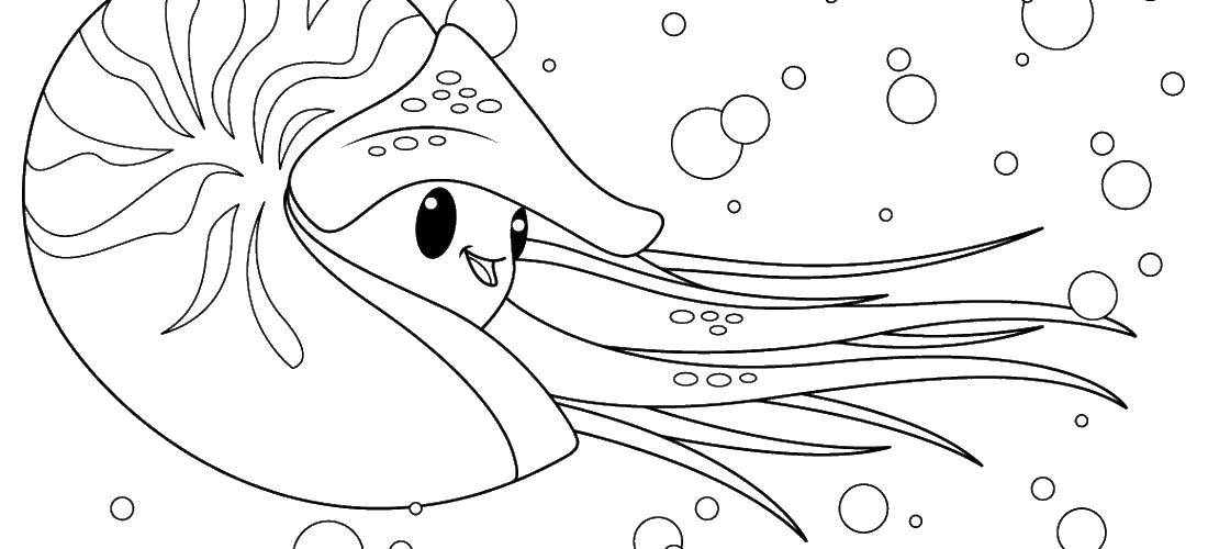 Розмальовки  Веселий кальмар. Завантажити розмальовку Підводний світ.  Роздрукувати ,морське,