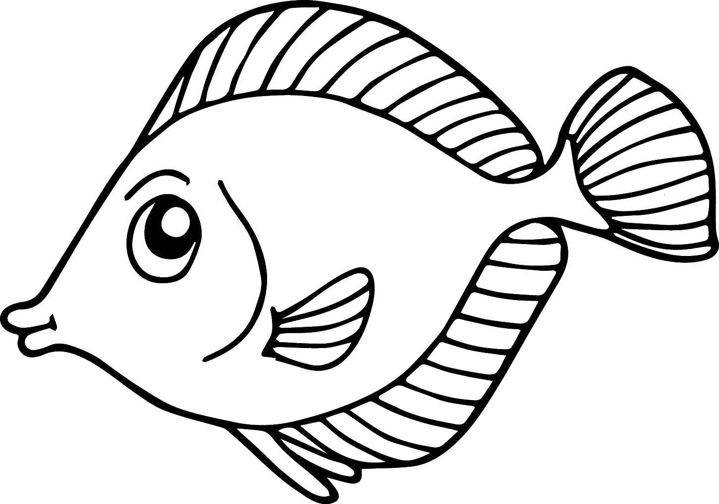 Название: Раскраска Аккуратная рыбка. Категория: рыбы. Теги: Подводный мир, рыба.