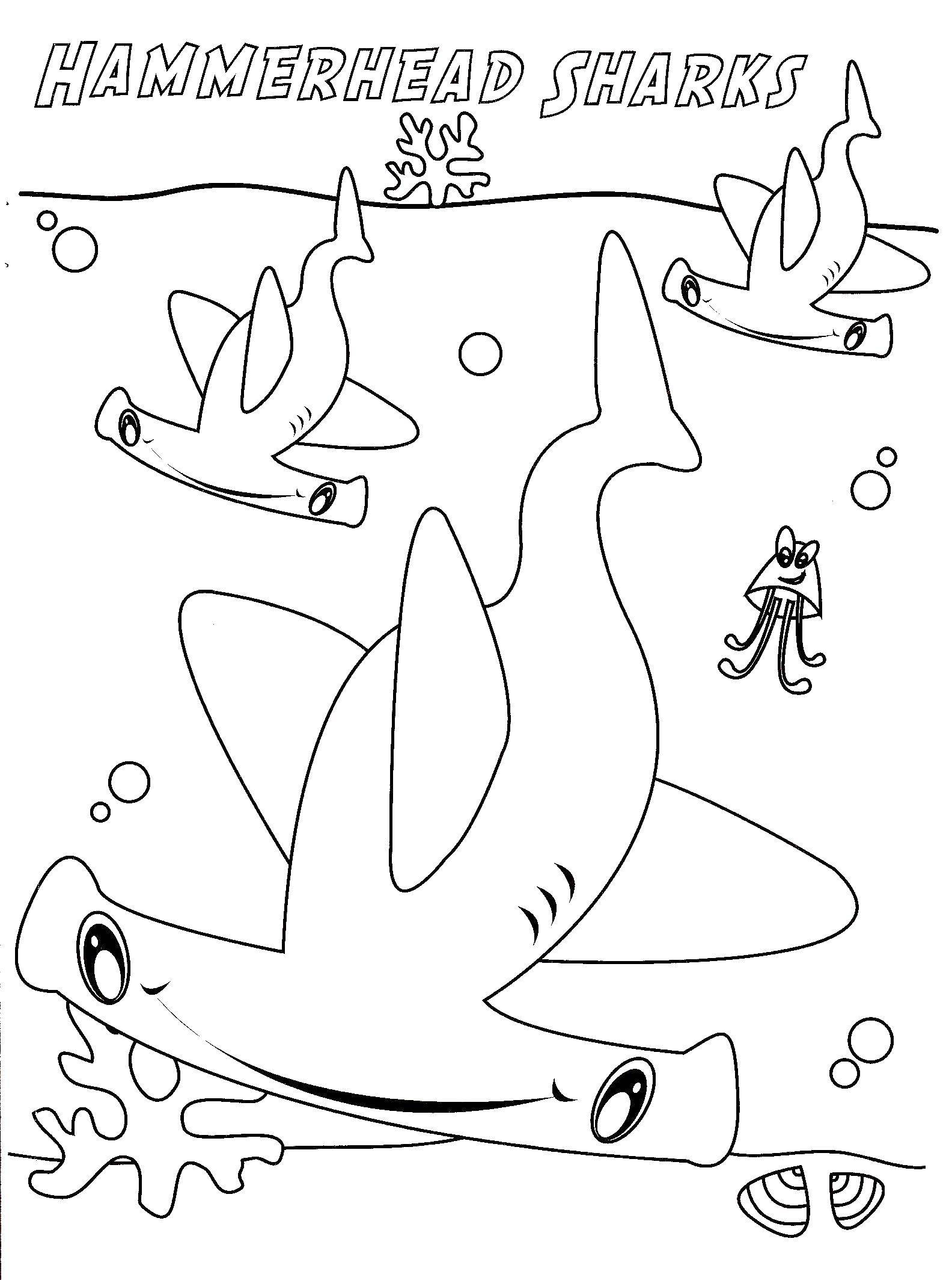Название: Раскраска Акулы молоты. Категория: морское. Теги: Подводный мир.
