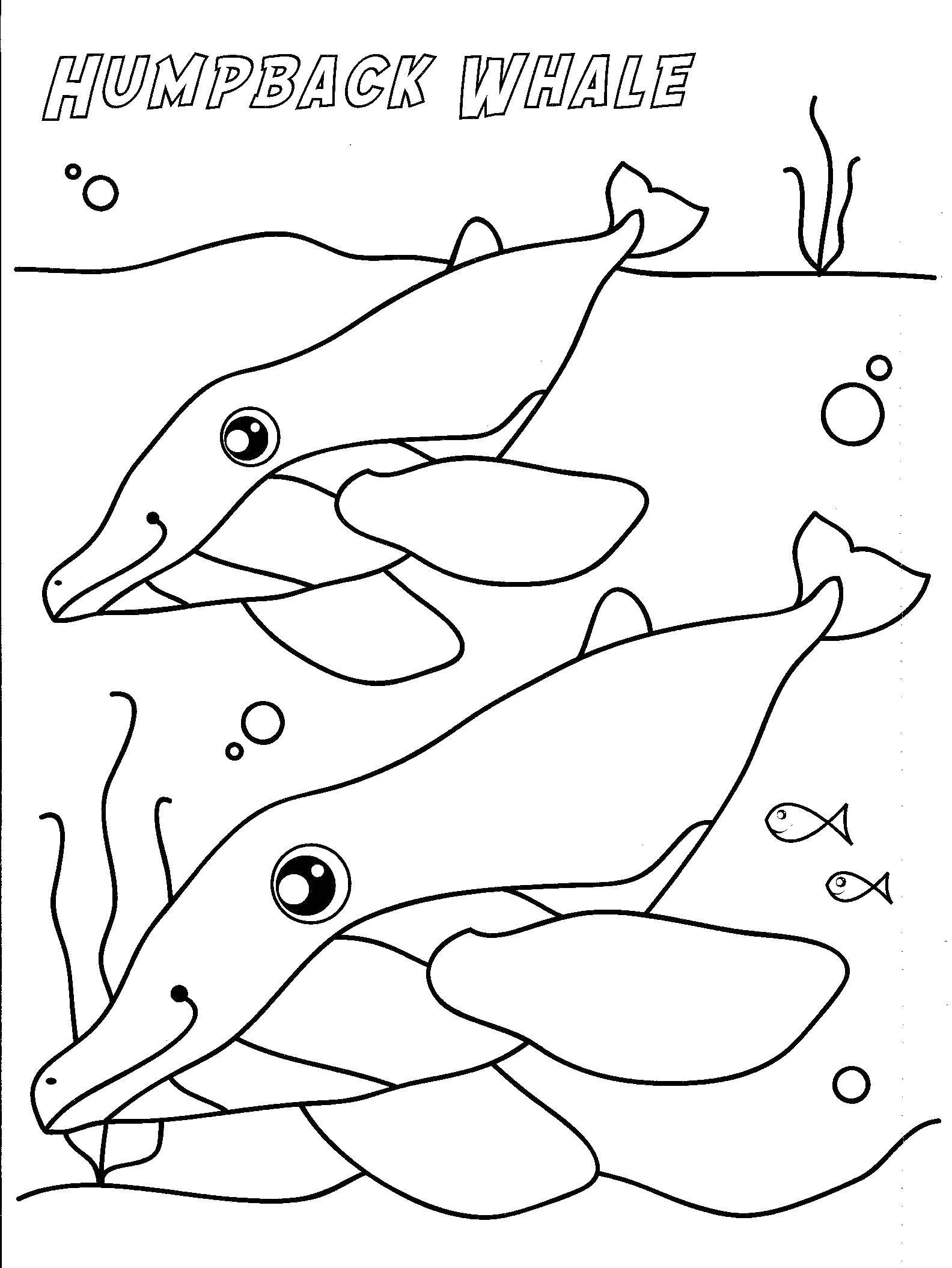 Coloring Large whales. Category marine. Tags:  Underwater world, fish.