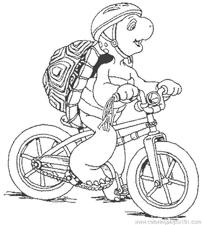 Coloring Bug on a bike. Category Turtle. Tags:  Reptile, turtle.