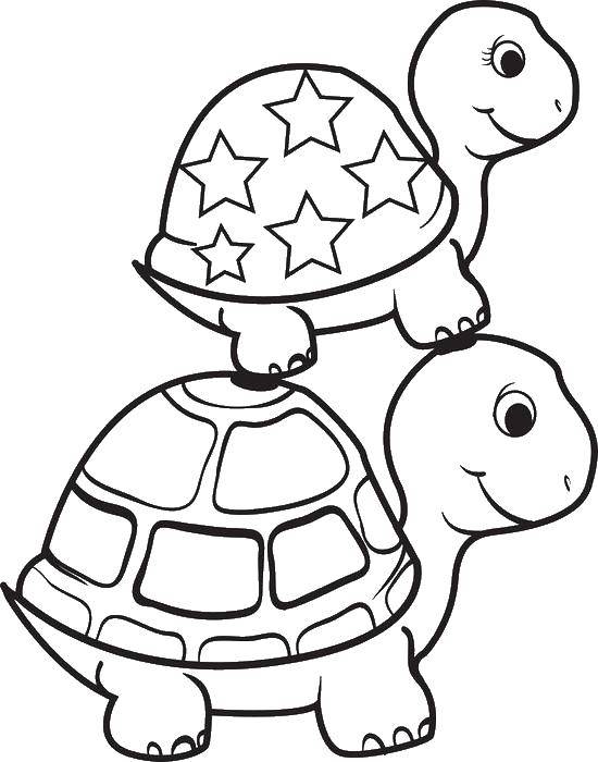 Название: Раскраска Черепашка стоит на другой. Категория: Морская черепаха. Теги: Рептилия, черепаха.