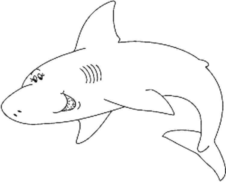 Название: Раскраска Добрая акулка. Категория: морское. Теги: Подводный мир, рыба, акула.