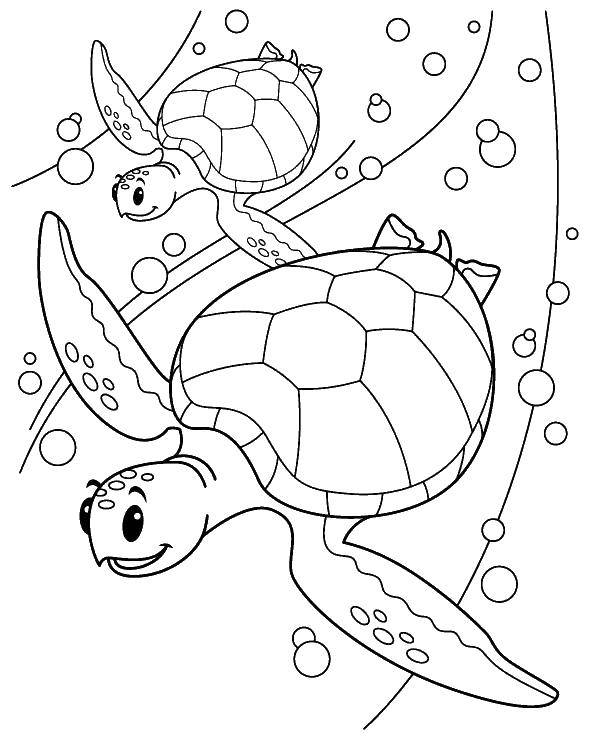 Название: Раскраска Дружные морские черепахи. Категория: рептилии. Теги: Рептилия, черепаха.
