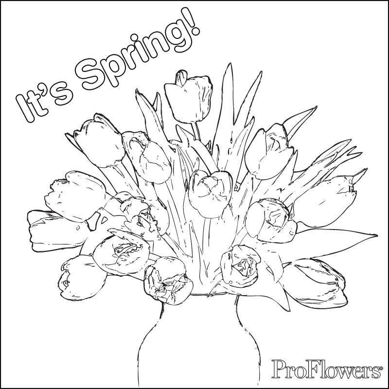 Название: Раскраска Это весна!. Категория: весна. Теги: Весна, цветы, тепло , подснежники.