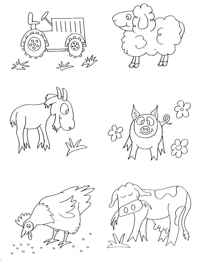 Coloring Farm animals. Category farm. Tags:  farm.