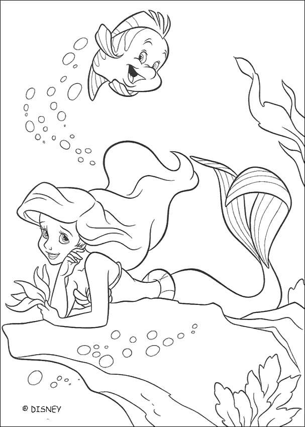 Название: Раскраска Флаундер плавает около ариэль. Категория: Диснеевские мультфильмы. Теги: Дисней, русалочка, Ариэль.