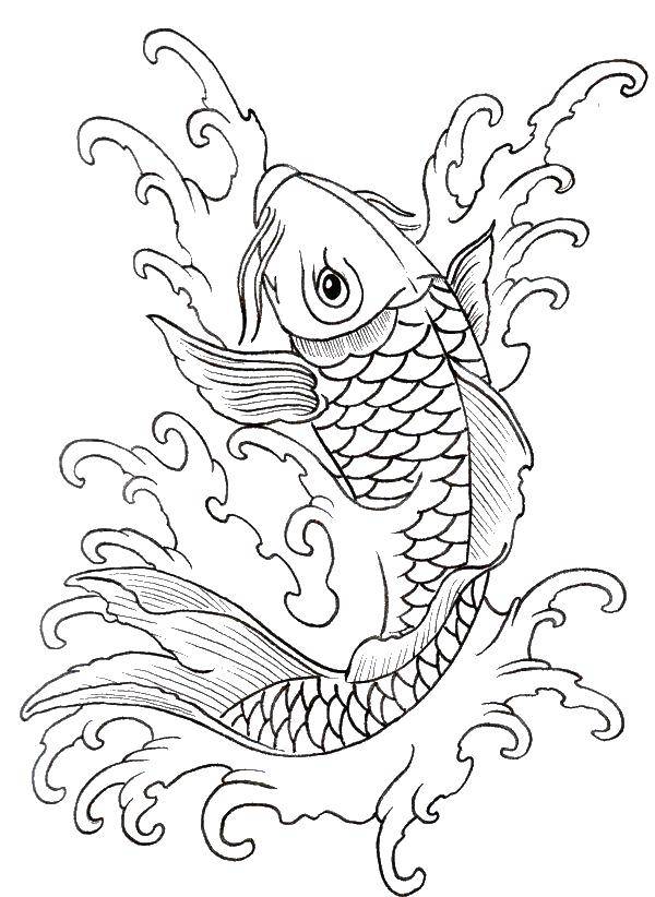 Название: Раскраска Карп и его усы. Категория: раскраски. Теги: Подводный мир, рыба.