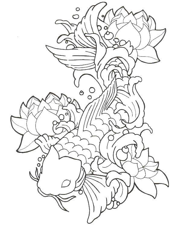 Coloring Carp and Lotus flowers. Category coloring. Tags:  fish, koi, Lotus.