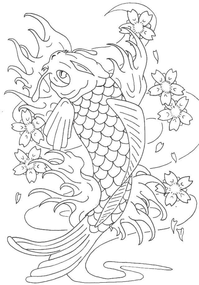 Coloring Carp and flowers. Category coloring. Tags:  carp, fish, flowers.