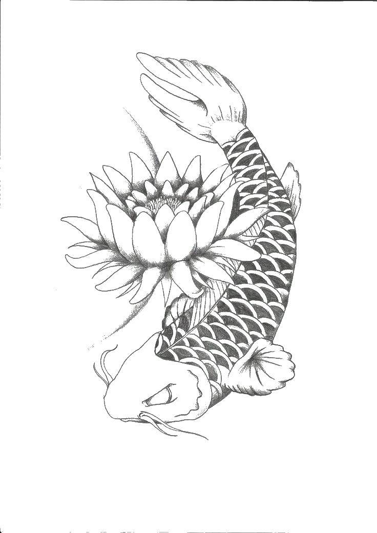 Название: Раскраска Карп у цветка. Категория: раскраски. Теги: Подводный мир, рыба.