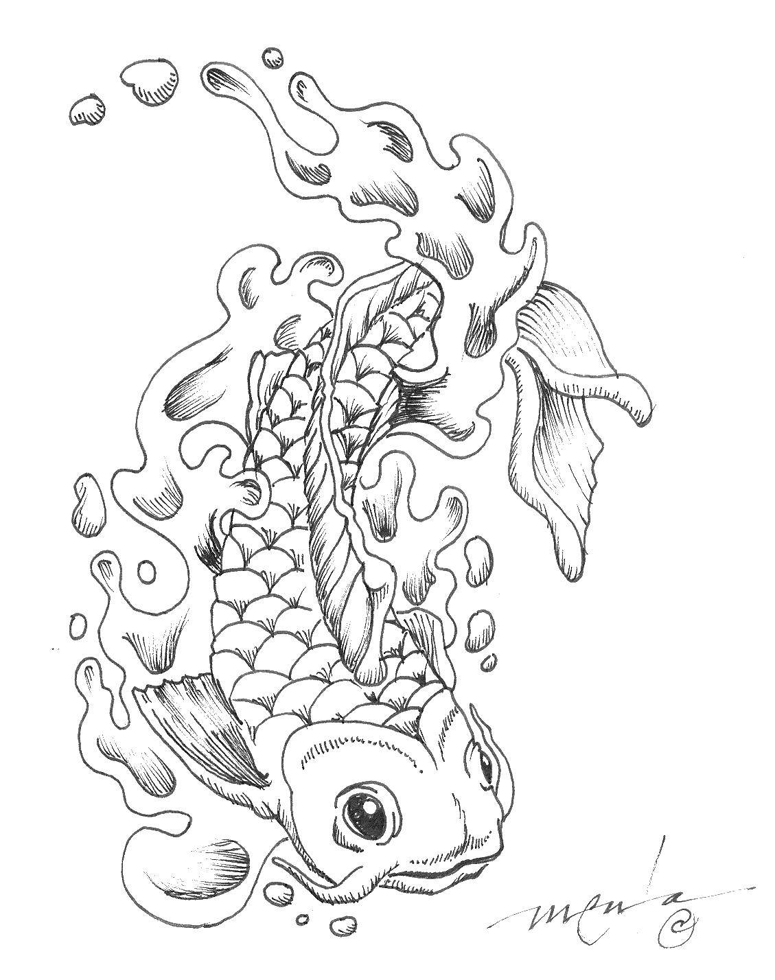 Coloring The carp in the water. Category coloring. Tags:  carp, water, fish.