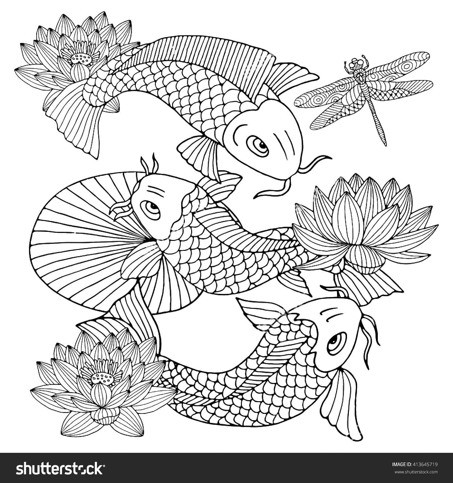 Название: Раскраска Карпы и лотосы. Категория: раскраски. Теги: карпы, рыбы, лотосы.