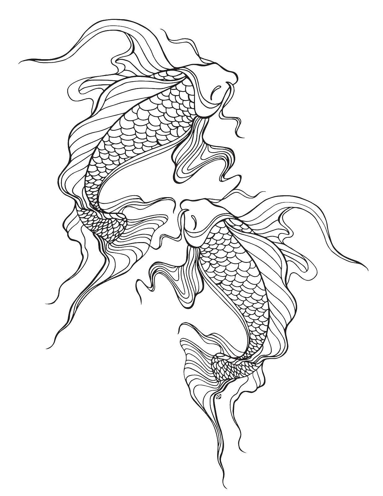 Название: Раскраска Карпы. Категория: раскраски. Теги: Подводный мир, рыба.