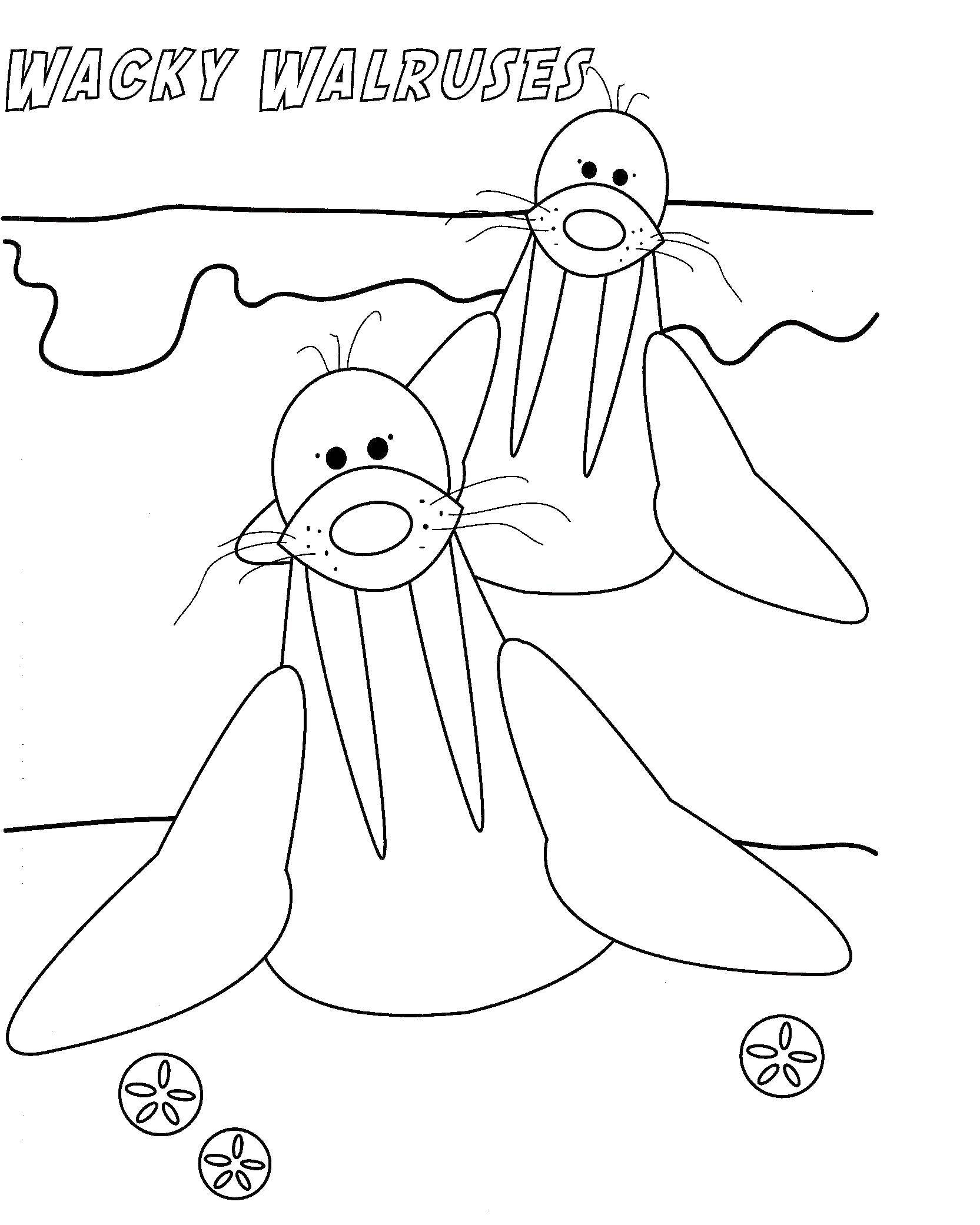 Название: Раскраска Клыкастые моржи. Категория: морское. Теги: Подводный мир.