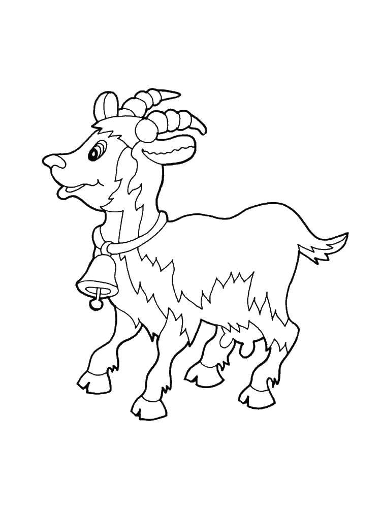 Coloring Goat with a bell. Category Animals. Tags:  animals, goats.