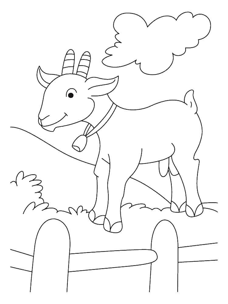 Название: Раскраска Козочка в траве. Категория: домашние животные. Теги: животные, скот, козы.