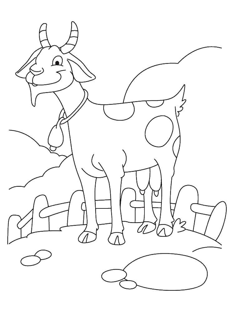 Название: Раскраска Козочка.. Категория: домашние животные. Теги: домашние животные. скот, козел.