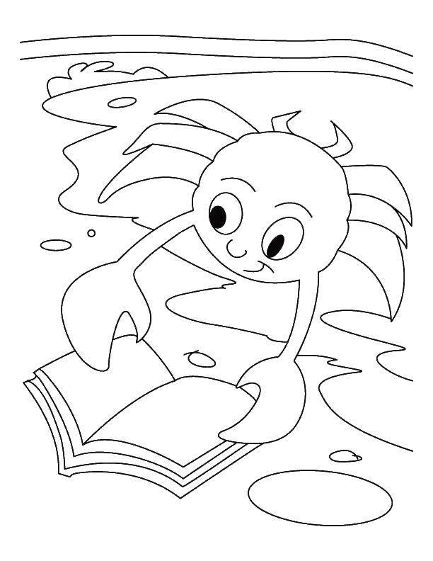 Название: Раскраска Краб с книжкой. Категория: Краб. Теги: морские жители, животные, краб.