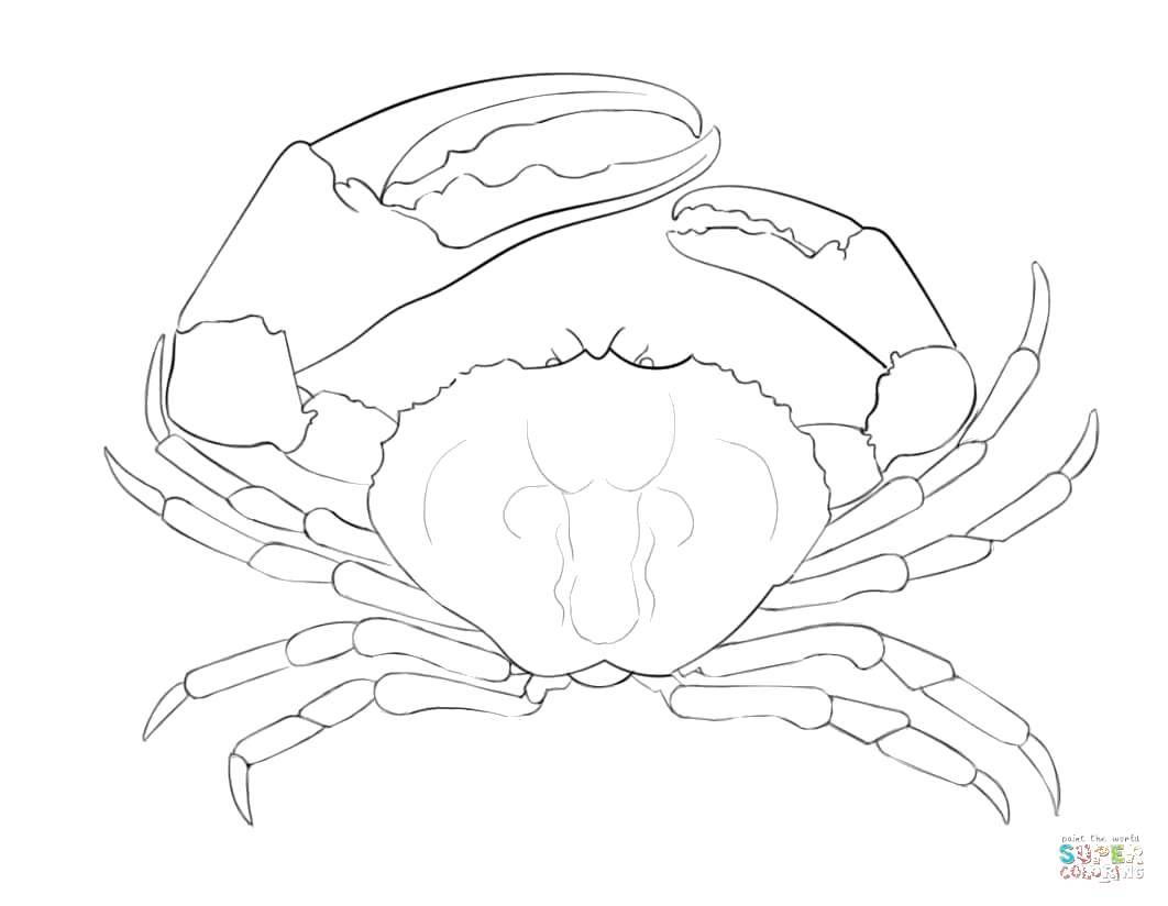 Coloring Crab with huge claws. Category marine. Tags:  Underwater world.
