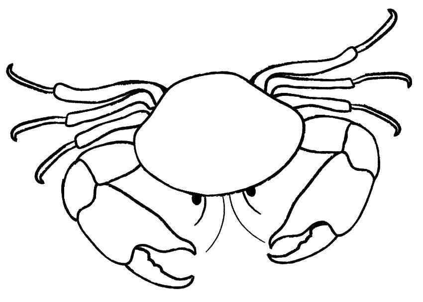 Coloring Crab. Category Crab. Tags:  sea inhabitants, sea animals, crabs.