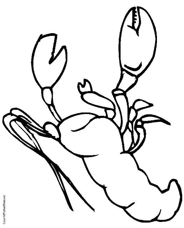 Coloring Lobster. Category coloring. Tags:  marine life, lobsters, crustaceans.
