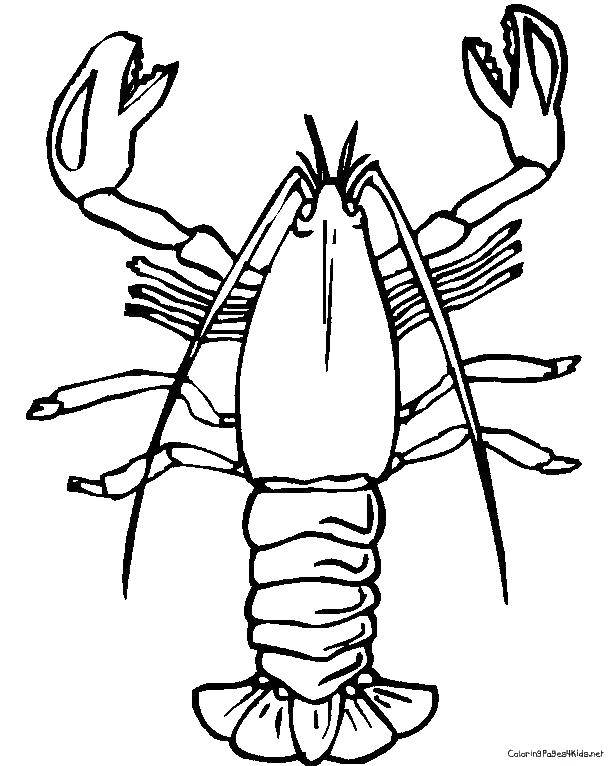 Coloring Lobster. Category coloring. Tags:  marine life, lobsters, crayfish.