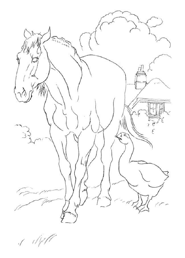 Coloring Horse and goose. Category Animals. Tags:  Animals, horse.