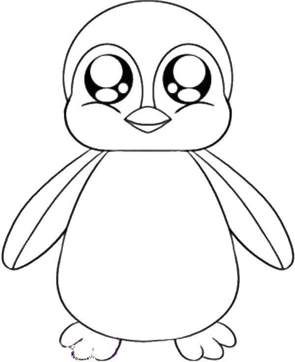 Coloring Baby penguin. Category birds. Tags:  Birds.